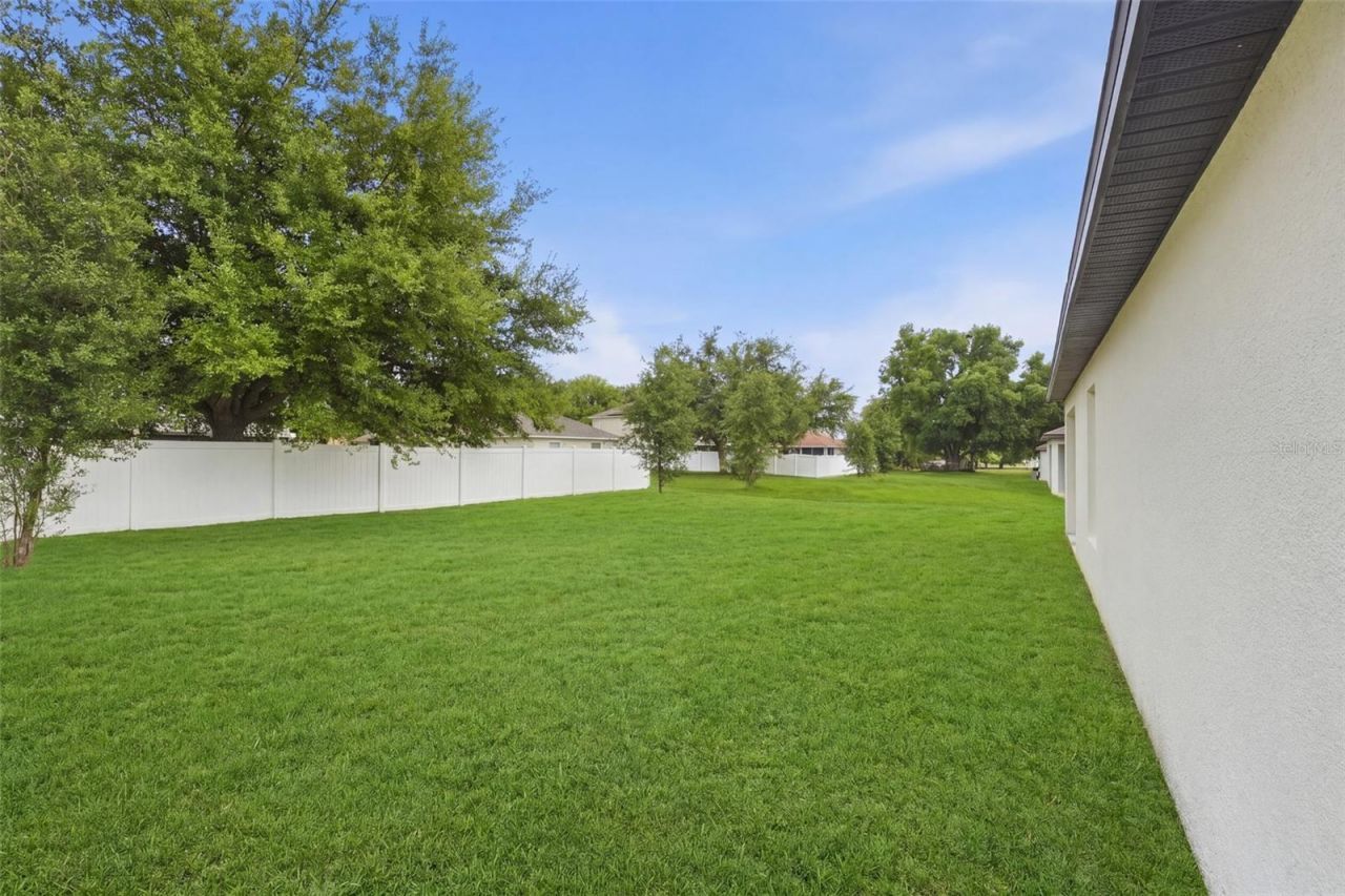 1668 Gopher Tree Street , Mascotte, FL 34753 Photo
