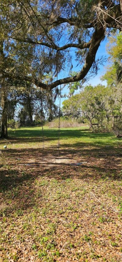 1869 SW 32nd Place , Bell, FL 32619 Photo
