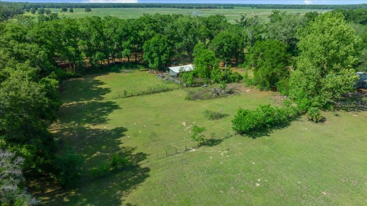 1869 SW 32nd Place , Bell, FL 32619 Photo