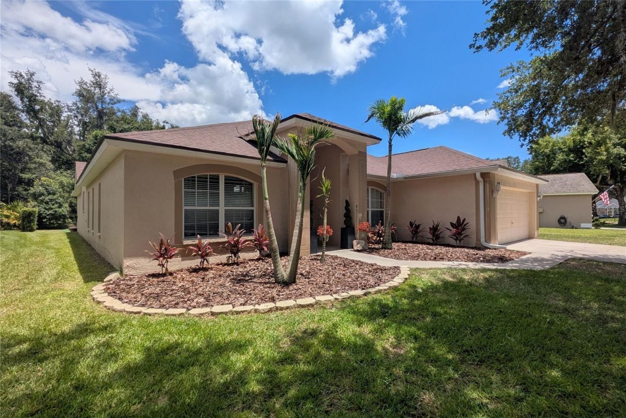 6006 Shearwater Lane, Lithia, FL 33547 Main Photo
