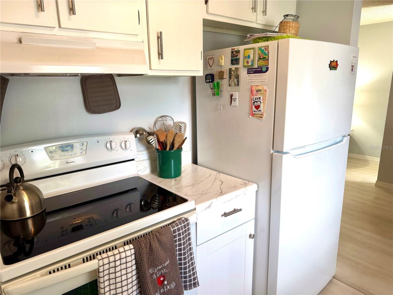 1026 83rd Terrace N, Unit 1026, Saint Petersburg, FL 33702 Photo