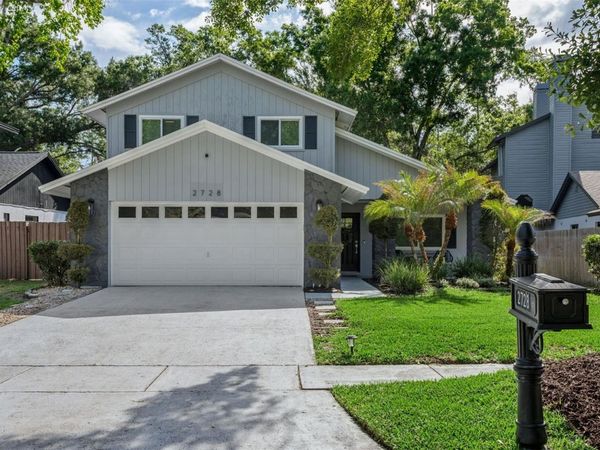 2728 LAKEVILLE DRIVE , TAMPA, FL 33618