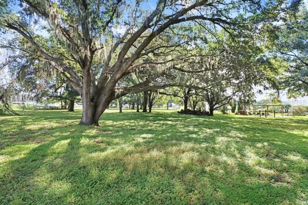 11634 Davis Pool Road, Seffner, FL 33584 Photo