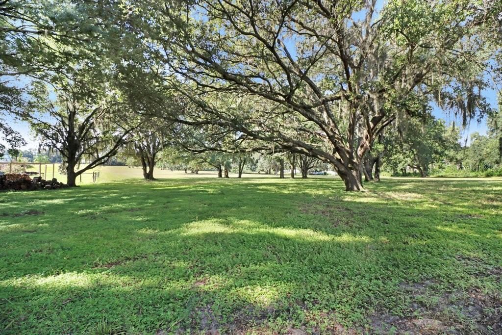 11634 Davis Pool Road, Seffner, FL 33584 Photo