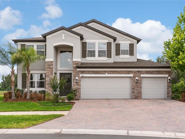 19361 EAGLE CREEK LANE, TAMPA, FL 33647