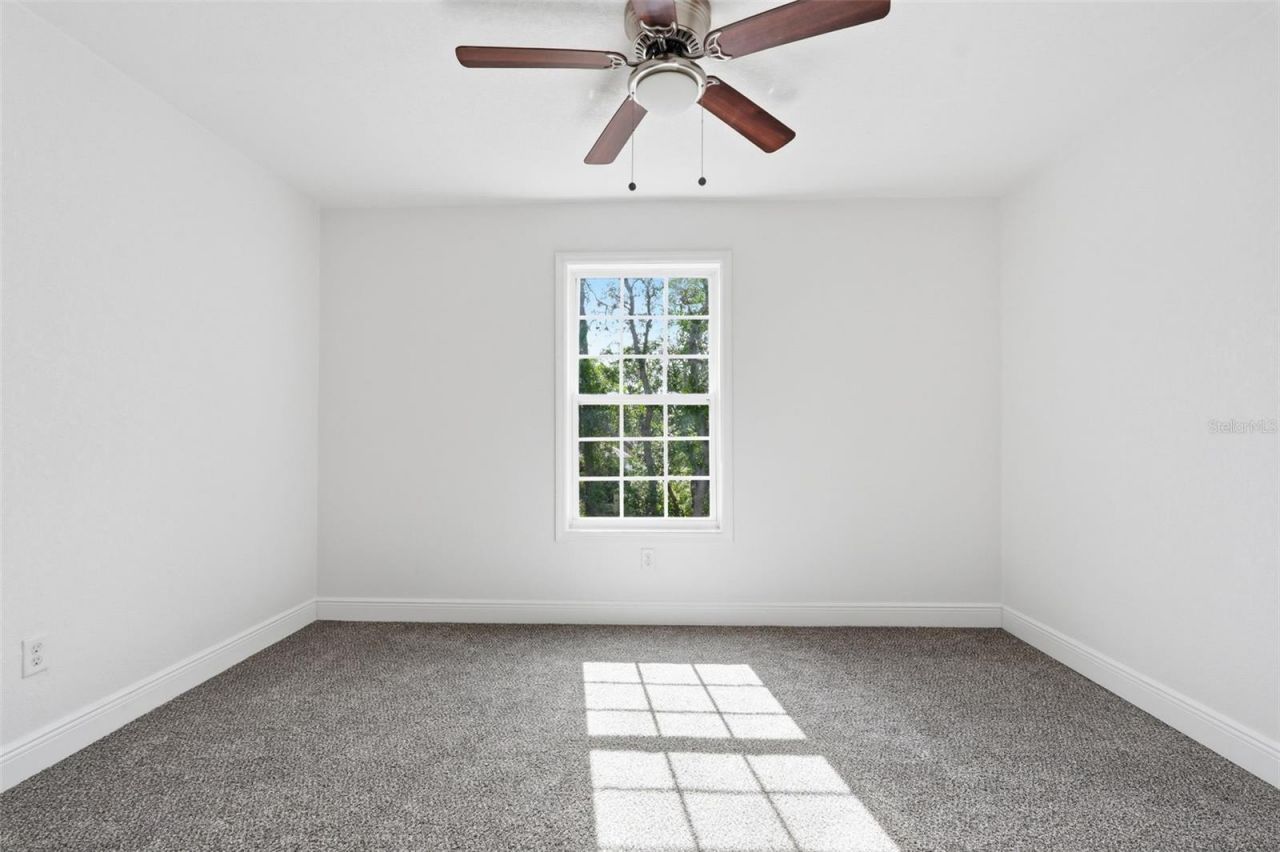 5065 Plumosa Street, Spring Hill, FL 34607 Photo