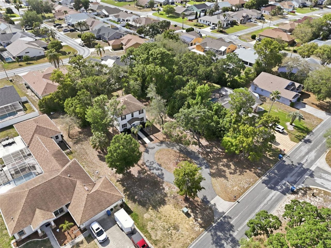 5065 Plumosa Street, Spring Hill, FL 34607 Photo