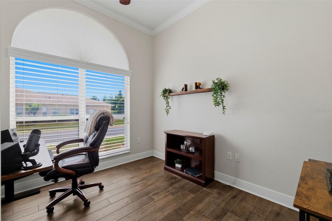 2120 Flameflower Court, Trinity, FL 34655 Photo