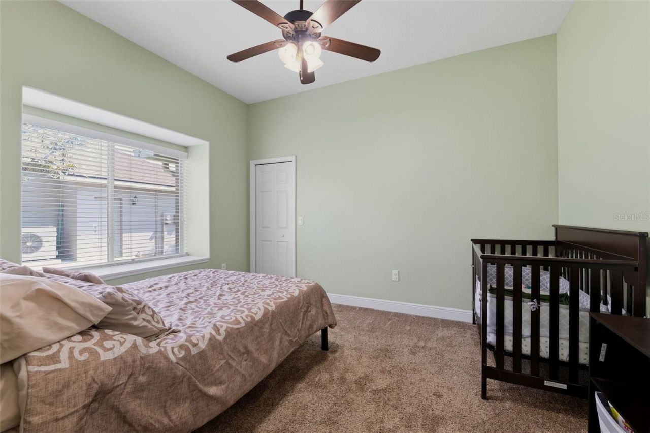 2120 Flameflower Court, Trinity, FL 34655 Photo