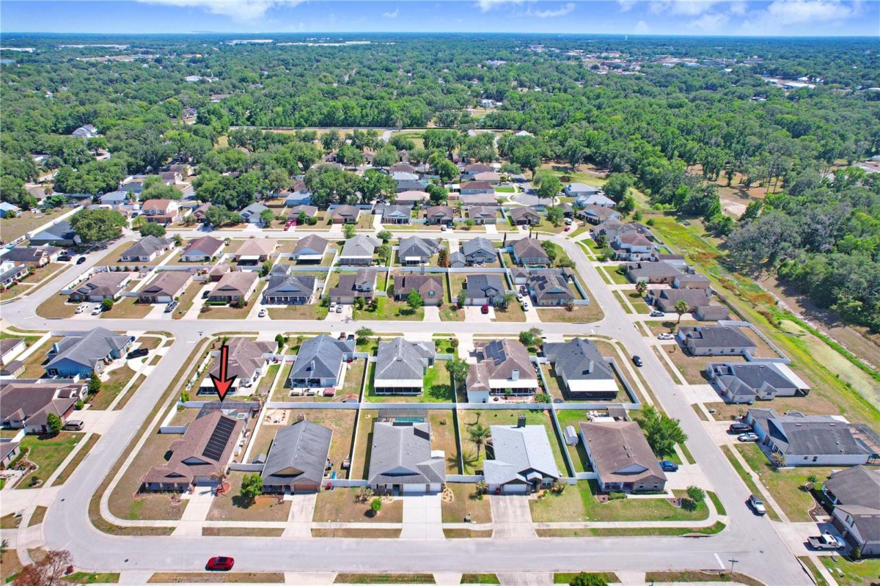 1209 Spotted Lilac Lane, Plant City, FL 33563 Photo