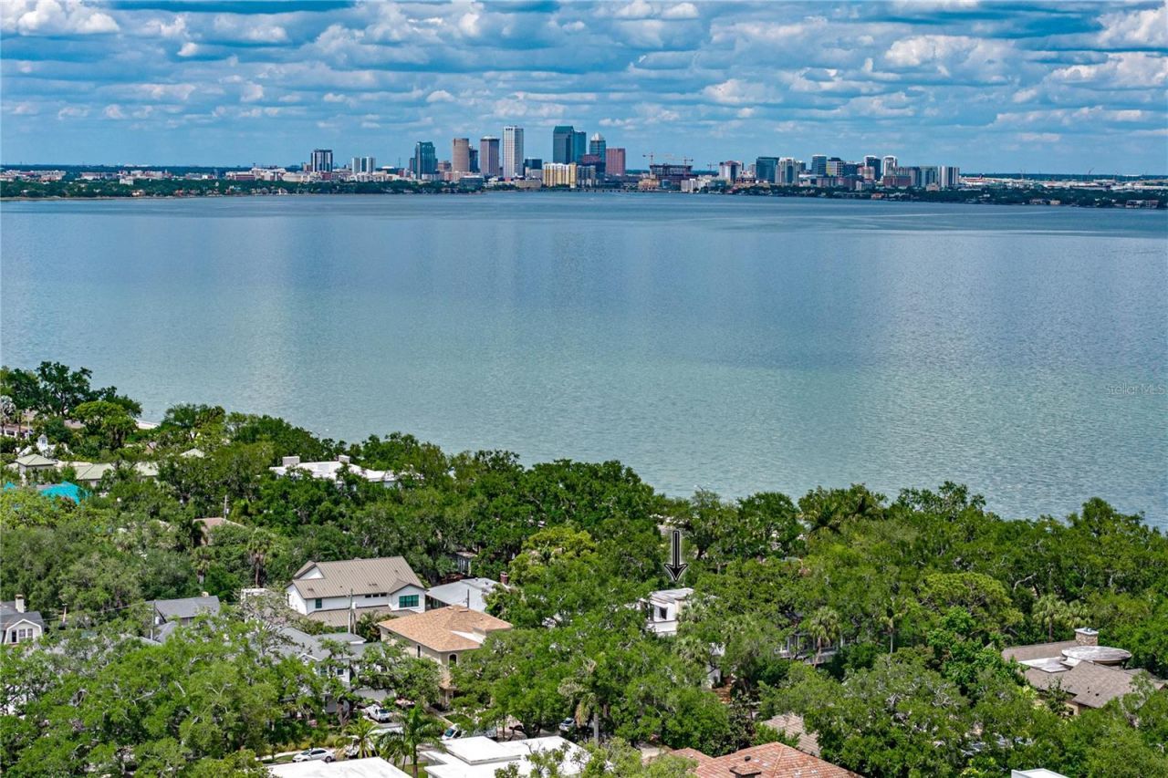 2903 W Hawthorne Road, Tampa, FL 33611 Photo