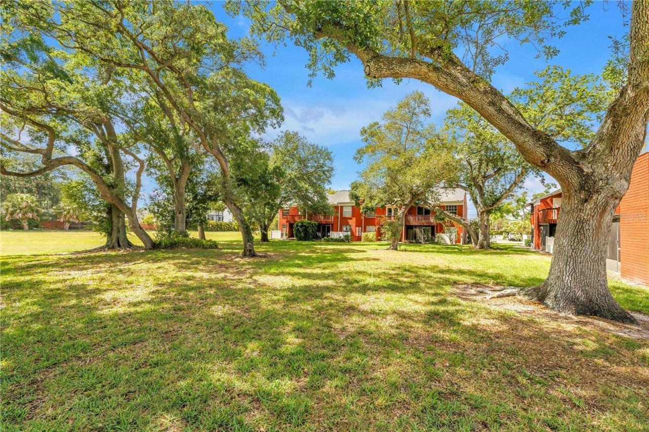 1310 83rd Avenue N, Unit D, Saint Petersburg, FL 33702 Photo
