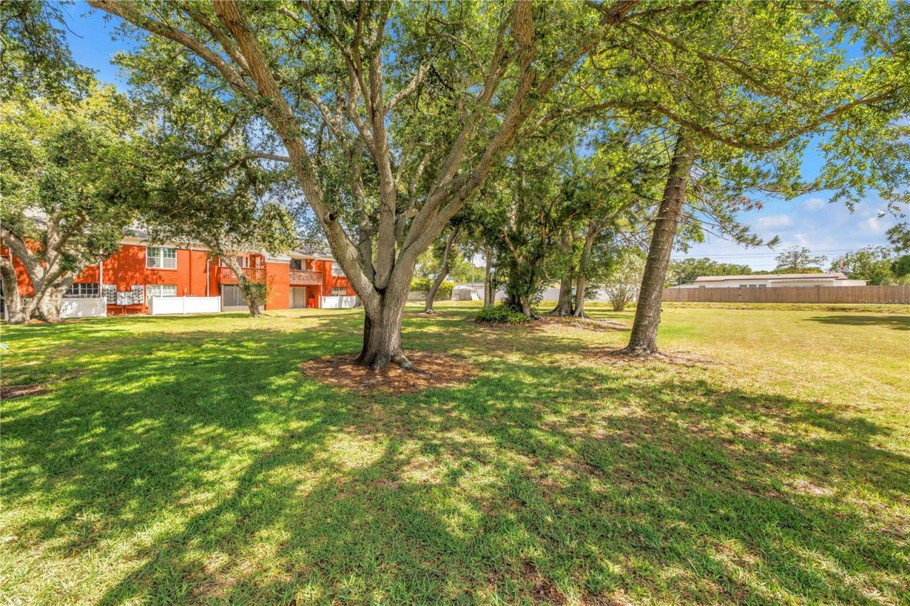 1310 83rd Avenue N, Unit D, Saint Petersburg, FL 33702 Photo