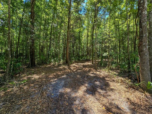 2381 N JENNIFER TERRACE , INVERNESS, FL 34453