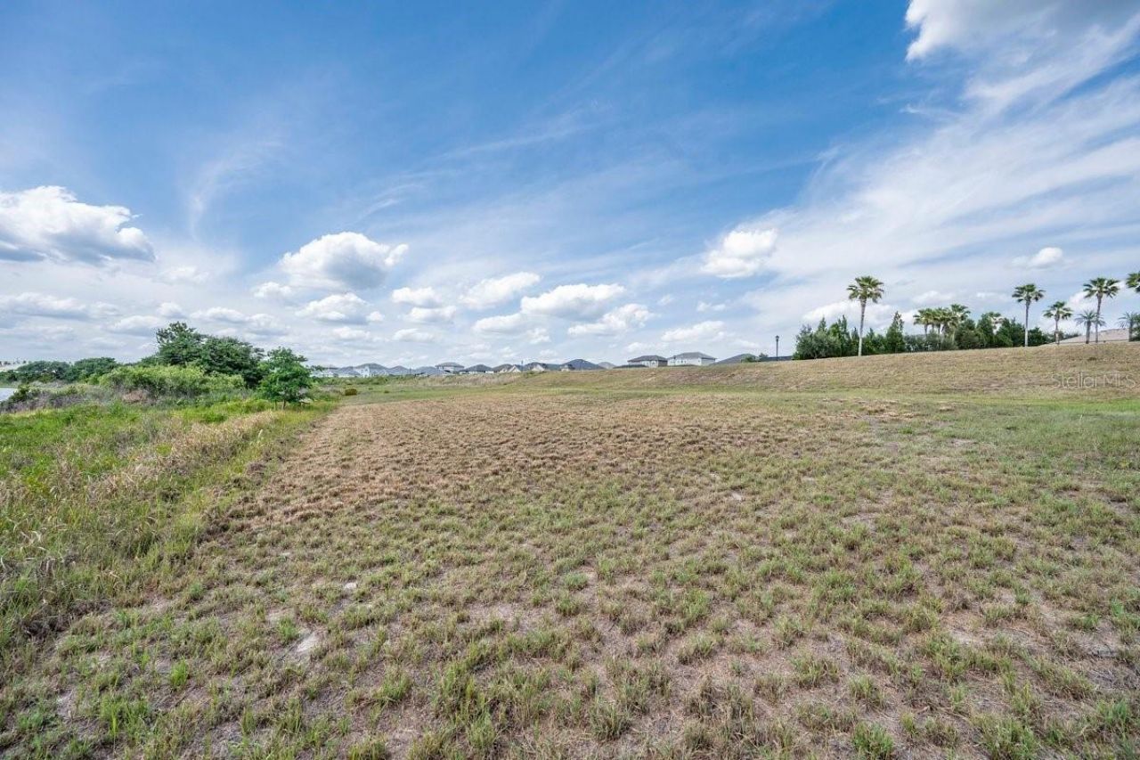 4253 Juliana Lake Drive , Auburndale, FL 33823 Photo
