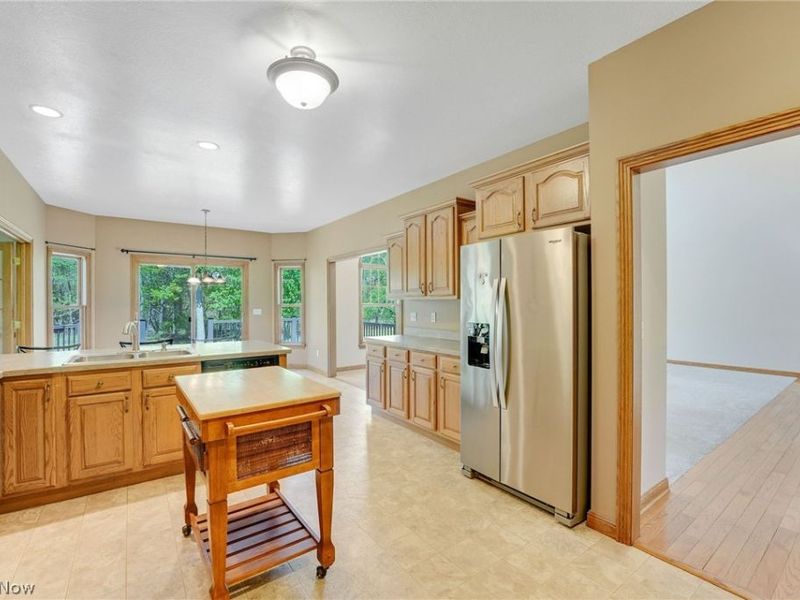 10785 Ellison Creek Drive, Concord Township, OH 44077 Photo 11