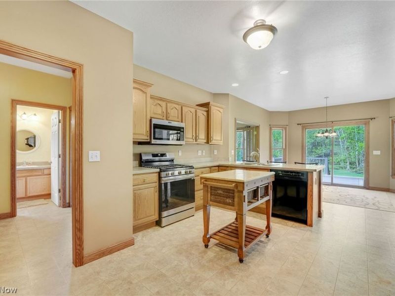 10785 Ellison Creek Drive, Concord Township, OH 44077 Photo 13