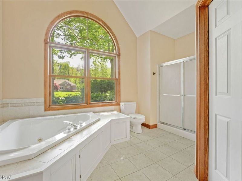 10785 Ellison Creek Drive, Concord Township, OH 44077 Photo 20
