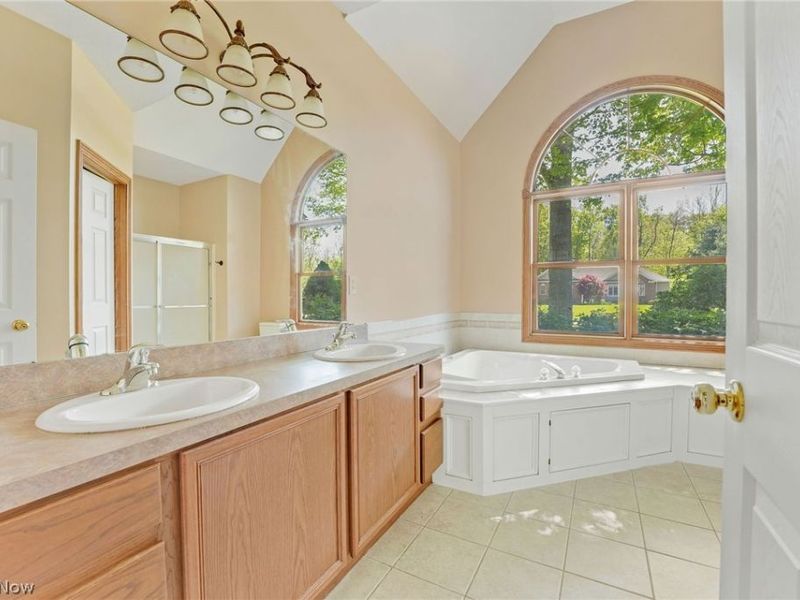 10785 Ellison Creek Drive, Concord Township, OH 44077 Photo 21