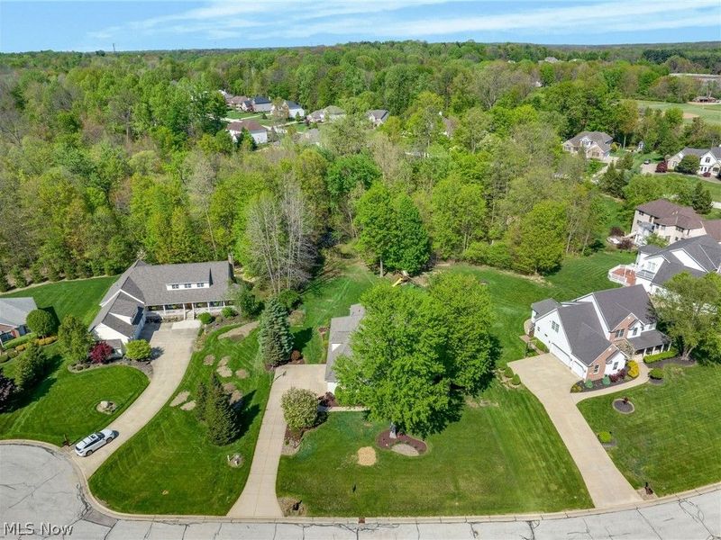 10785 Ellison Creek Drive, Concord Township, OH 44077 Photo 41