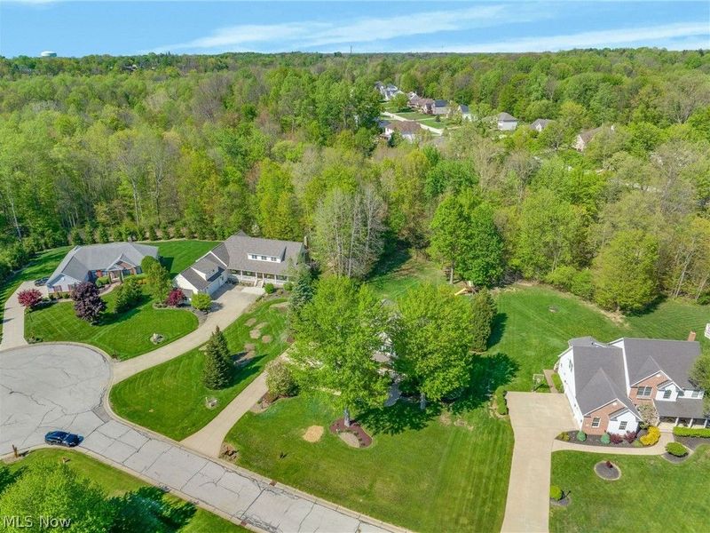 10785 Ellison Creek Drive, Concord Township, OH 44077 Photo 42