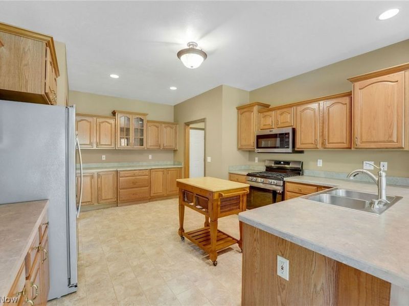 10785 Ellison Creek Drive, Concord Township, OH 44077 Photo 9