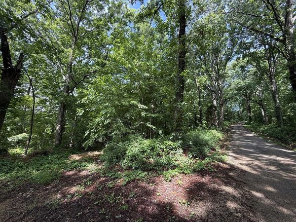 2.62 AC S Pitcher Road , Morgantown, KY 42261