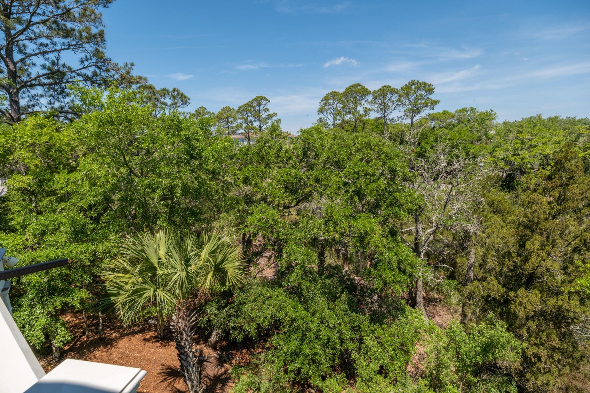 5819 Back Bay Drive Photo 47