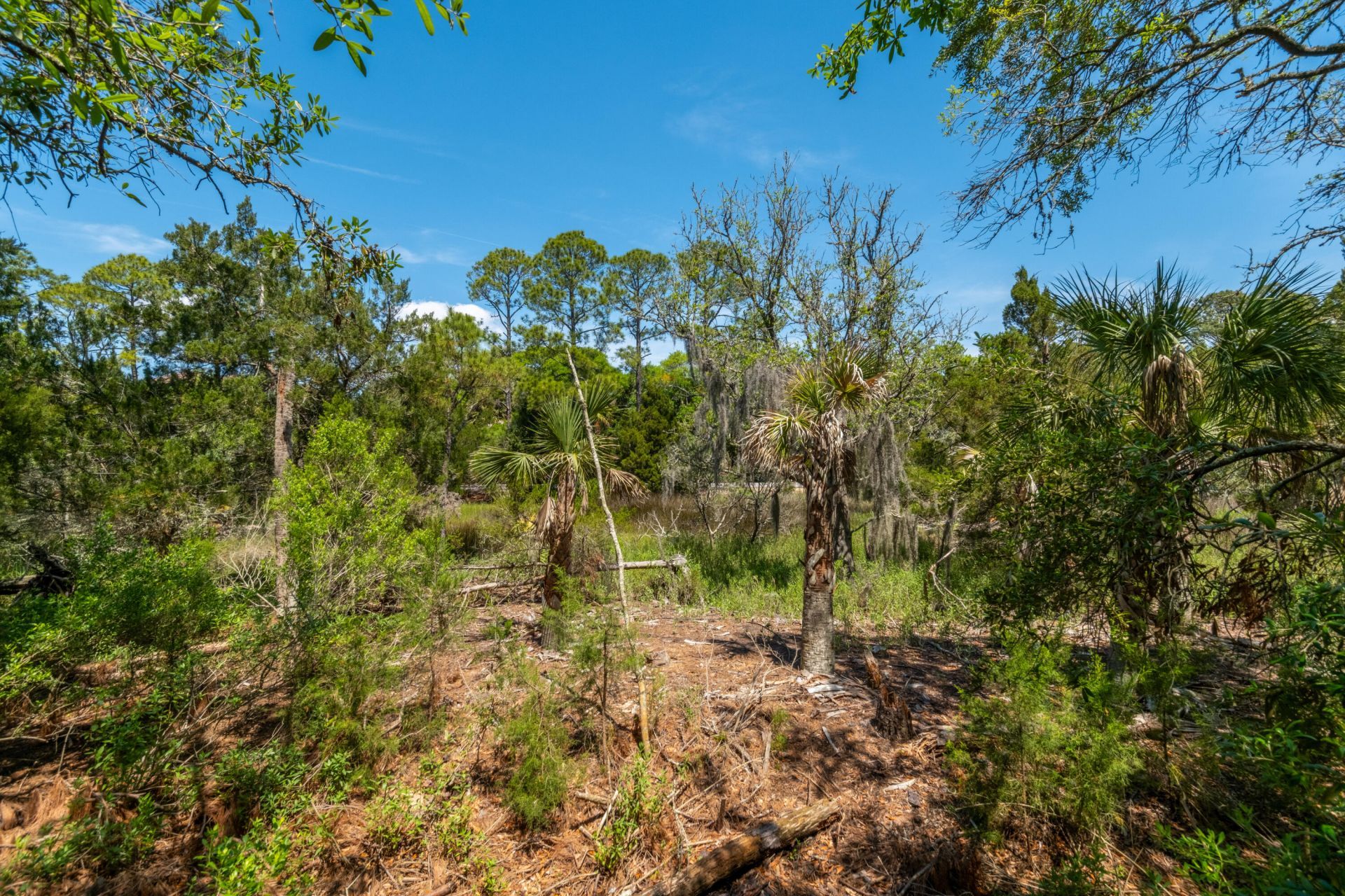 5819 Back Bay Drive Photo 55