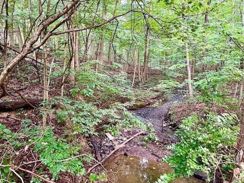 5650 Harrow Glen Court, Unit 5650, Galena, OH 43021 Photo 48
