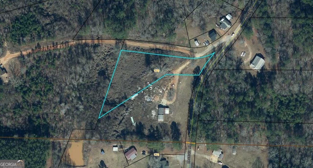174 S Kelley Street, Tallapoosa, GA 30176 Main Photo
