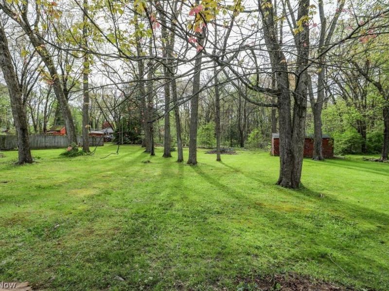 6425 Wall Street, Ravenna, OH 44266 Photo 11