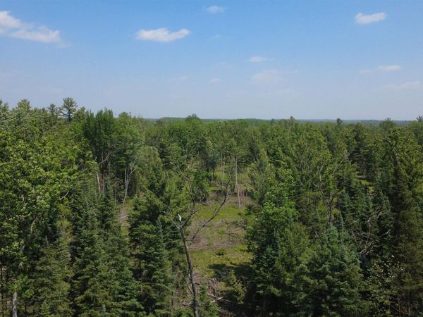 Oleskie Trail, West Branch, MI 48661