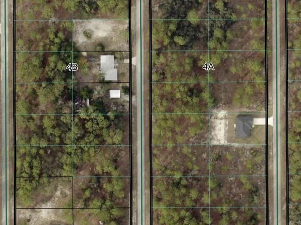 Tbd SW Buena Vista Road, Dunnellon, FL 34431