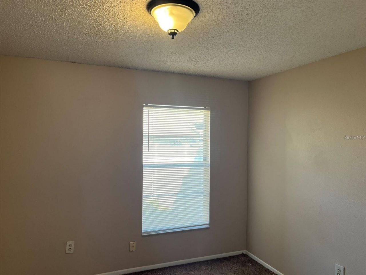 7708 Gulf Court , Temple Terrace, FL 33637 Photo