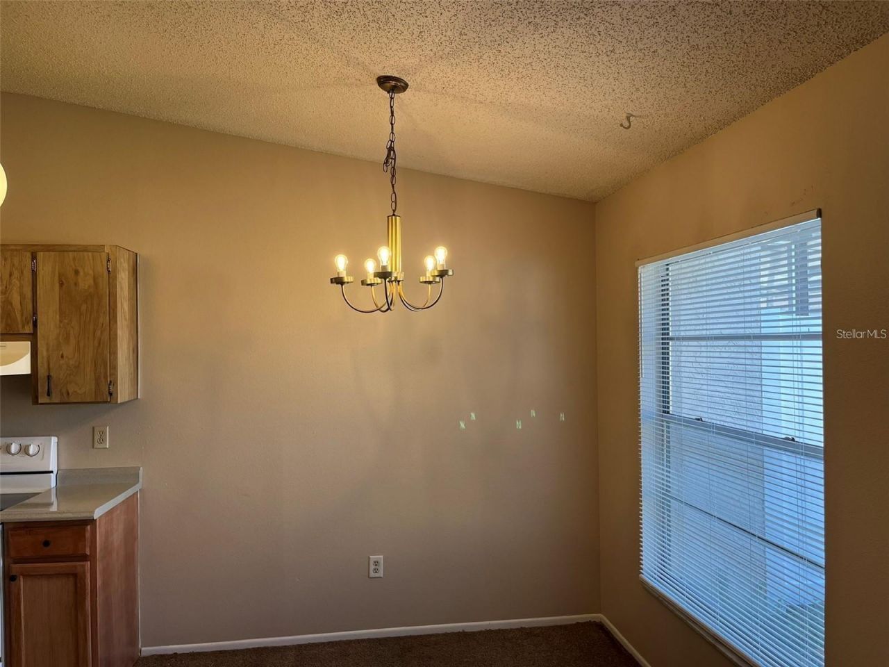 7708 Gulf Court , Temple Terrace, FL 33637 Photo
