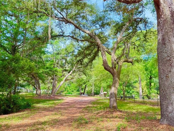 2905 CREEK STREET, MIDDLEBURG, FL 32068