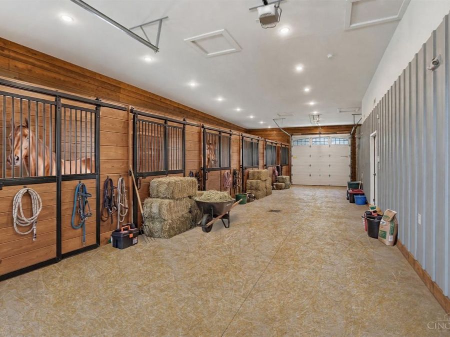 Property Image 93