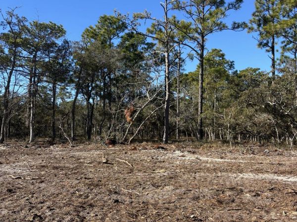 Lot 132 Coral Gull Street , Southport, NC 28461