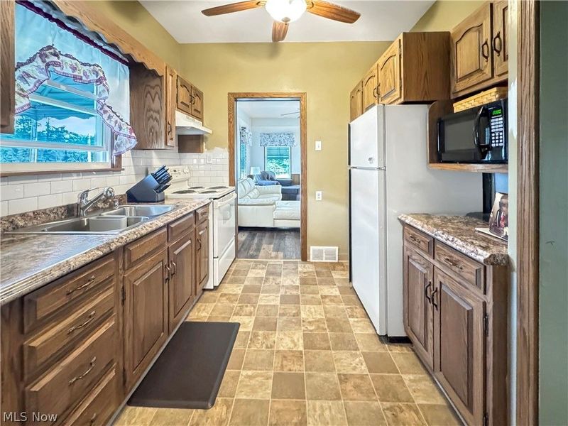 253 N Salem Warren Road, North Jackson, OH 44451 Photo 7