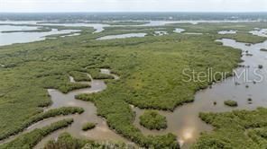825 E 23rd Avenue, New Smyrna Beach, FL 32169 Photo