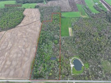 Youngs Road, Conewango Valley, NY 14726