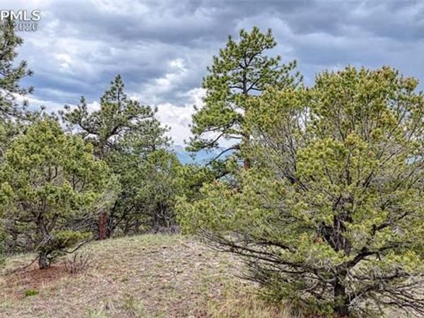44 Honeysuckle Terrace, Westcliffe, CO 81252