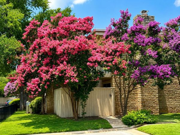 8340 Fathom CIR, Unit 103, Austin, TX 78750