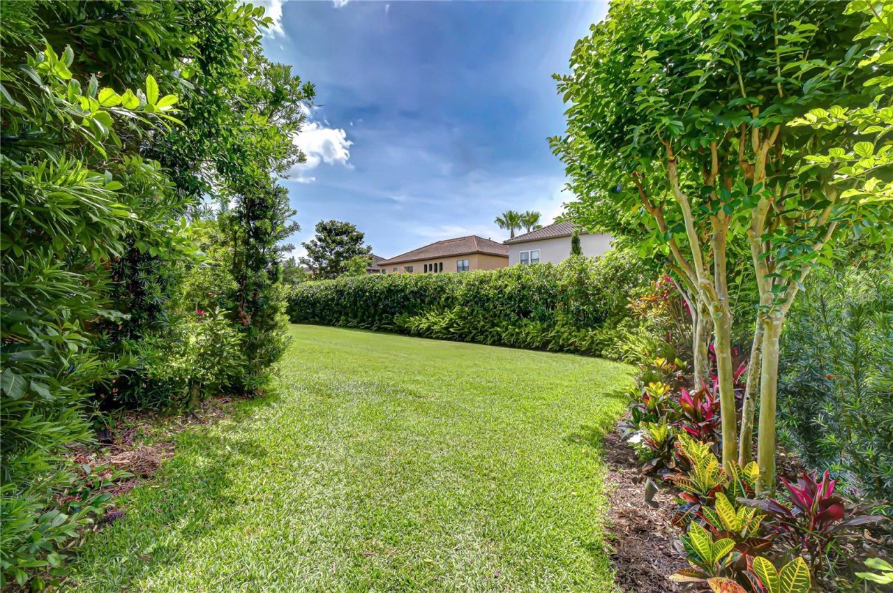 14810 Donald Ross Court, Tampa, FL 33626 Photo
