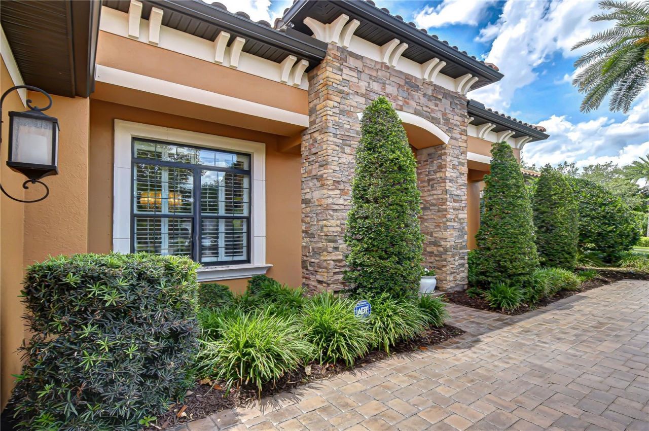 14810 Donald Ross Court, Tampa, FL 33626 Photo