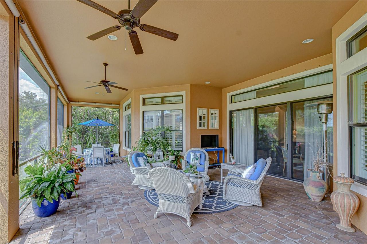 14810 Donald Ross Court, Tampa, FL 33626 Photo