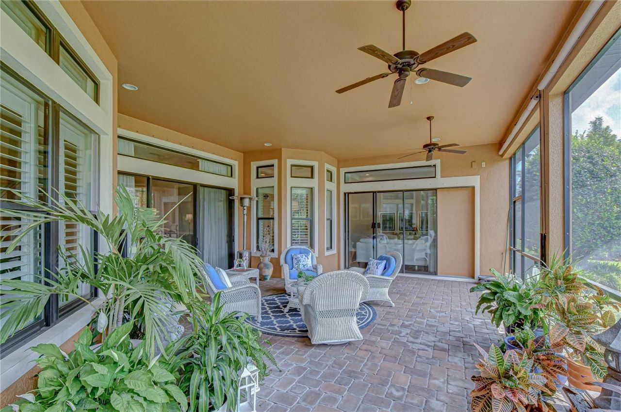 14810 Donald Ross Court, Tampa, FL 33626 Photo