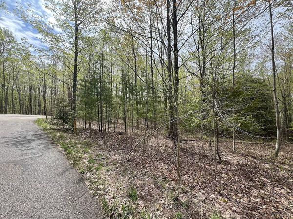 1275 Lone Oak, Petoskey, MI 49770