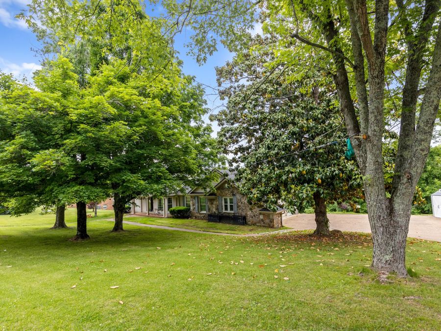 Property Image 47